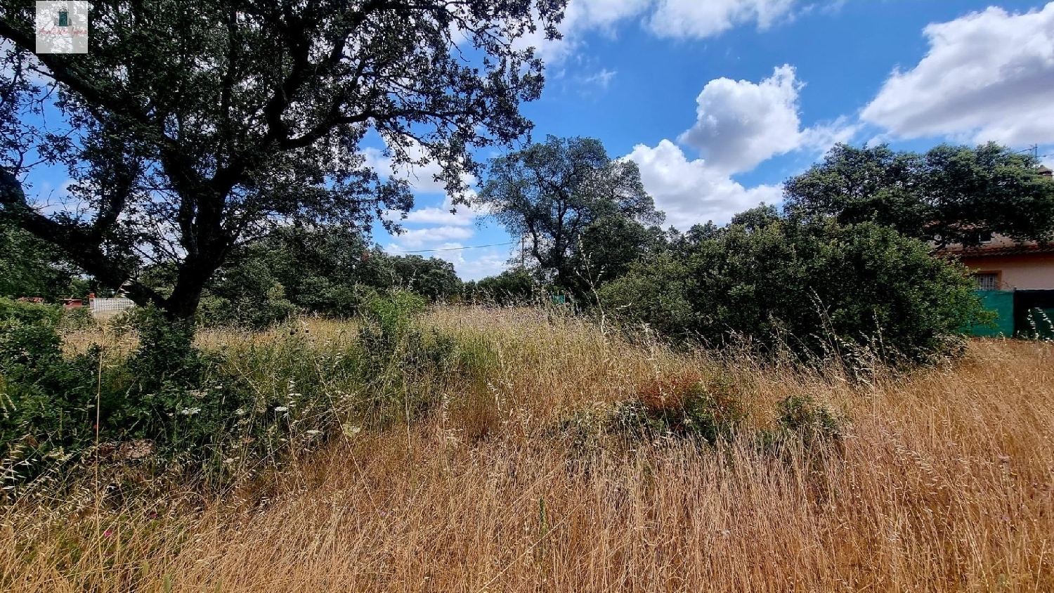  for sale plot Atalaya Badajoz 7