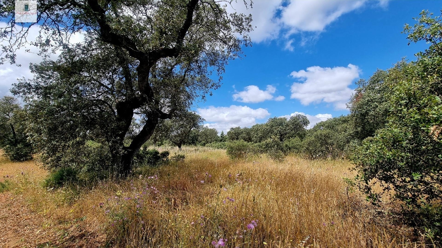  for sale plot Atalaya Badajoz 3