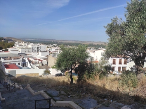 Villamartín Sierra De Cádiz tomt foto 6242672