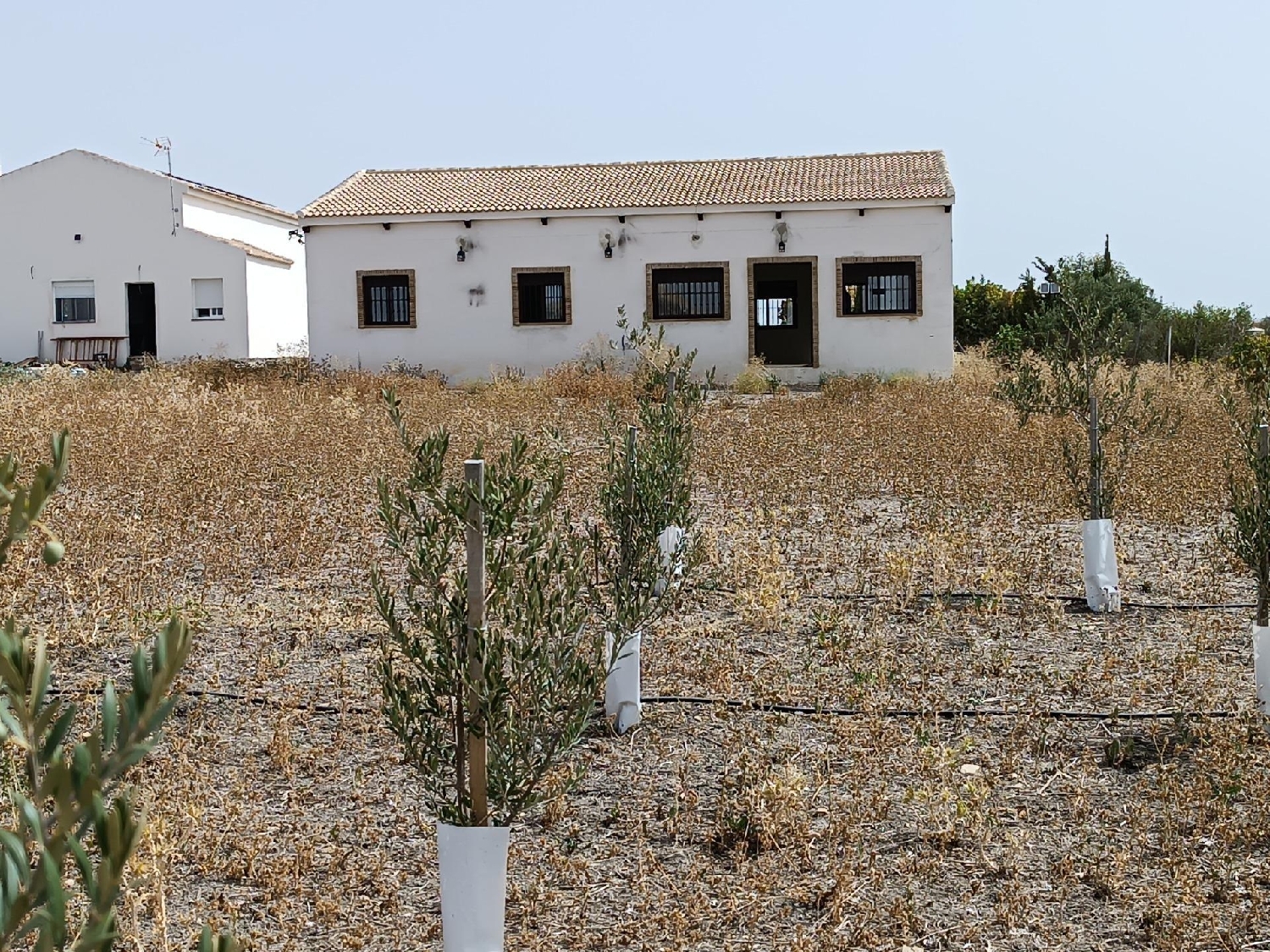  till salu tomt Villamartín Sierra De Cádiz 4