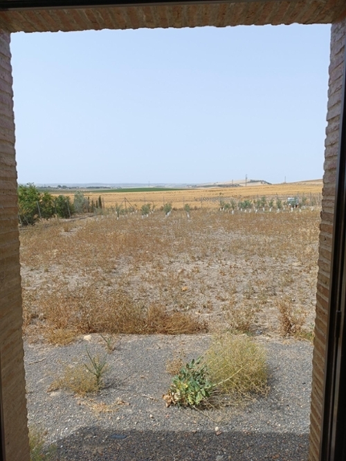 Villamartín Sierra De Cádiz tomt foto 6252703