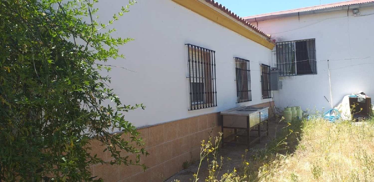  till salu tomt Villamartín Sierra De Cádiz 4