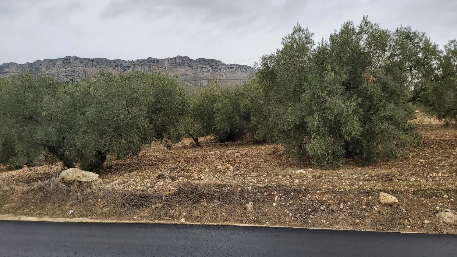 for sale plot Villanueva De Cauche Antequera 2