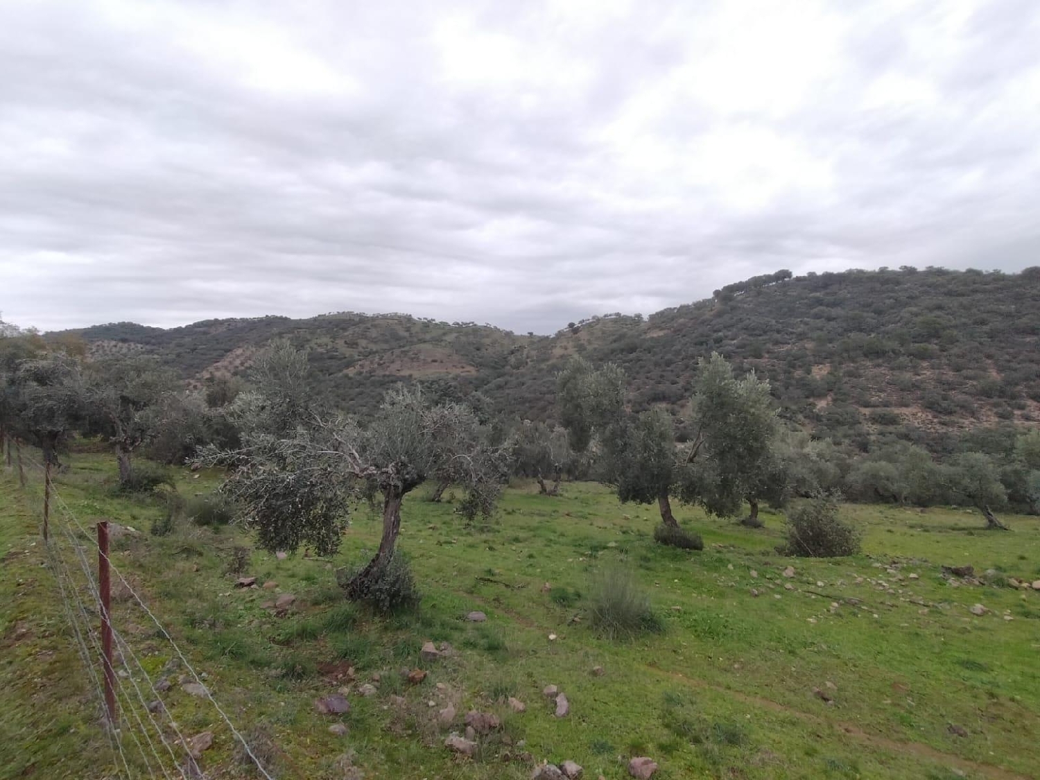 till salu tomt Villanueva Del Rey Valle Del Guadiato 3