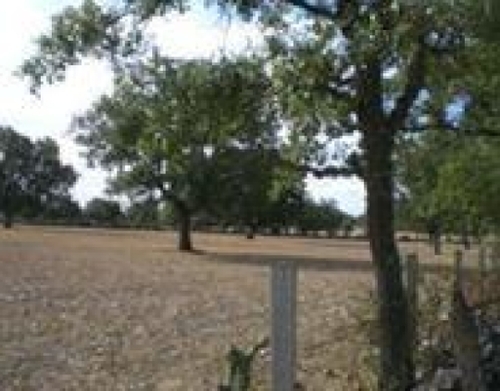 Villares De Yeltes Vitigudino tomt foto 6228503