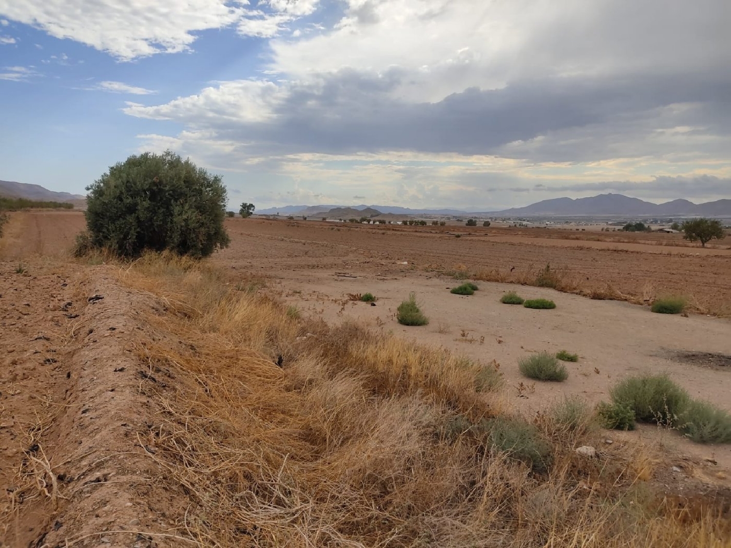  till salu tomt Villarreal Alto Guadalentín 4