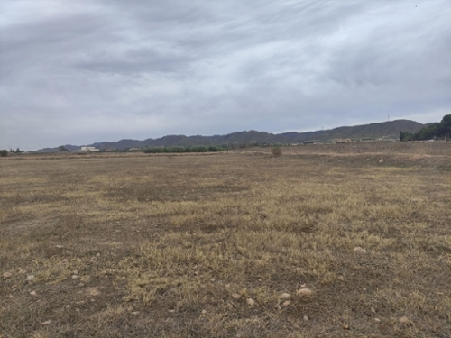 Villarreal Alto Guadalentín tomt foto 6234525