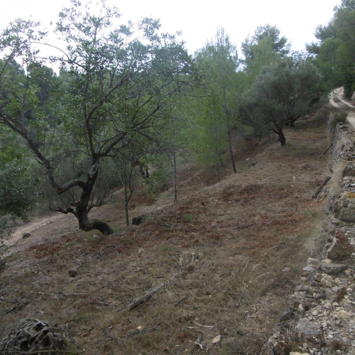 till salu tomt Vinallop Baix Ebre 2