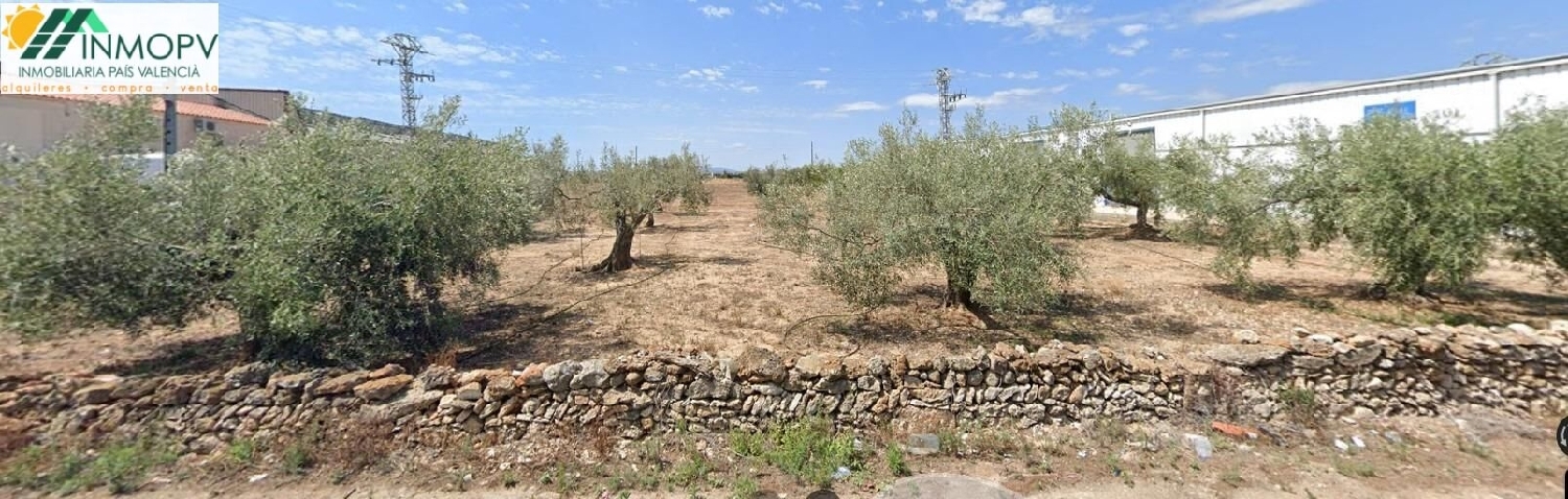  till salu tomt Vinaros Baix Maestrat 3