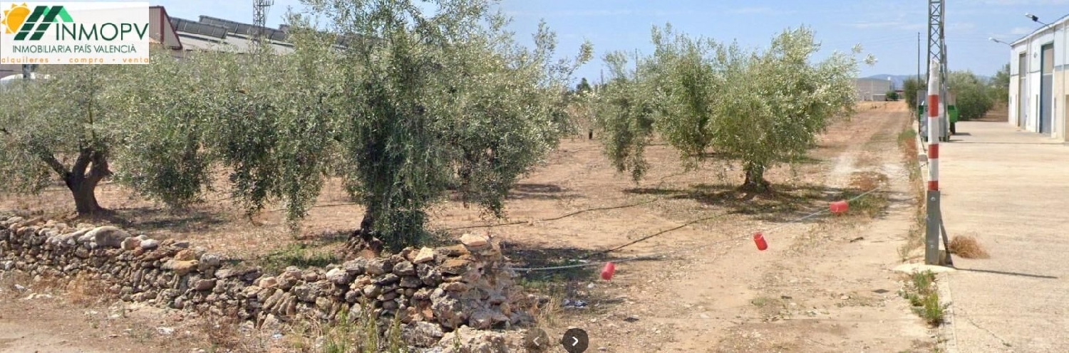  till salu tomt Vinaros Baix Maestrat 5