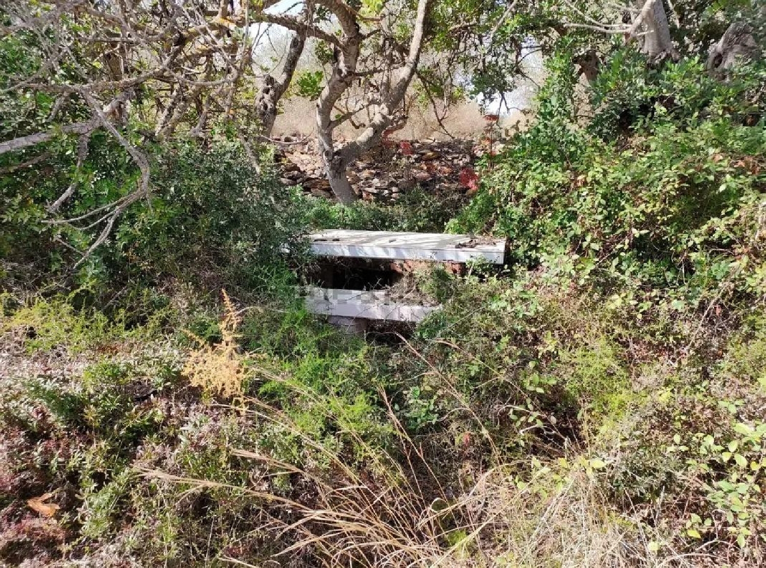 till salu tomt Vinaros Baix Maestrat 3