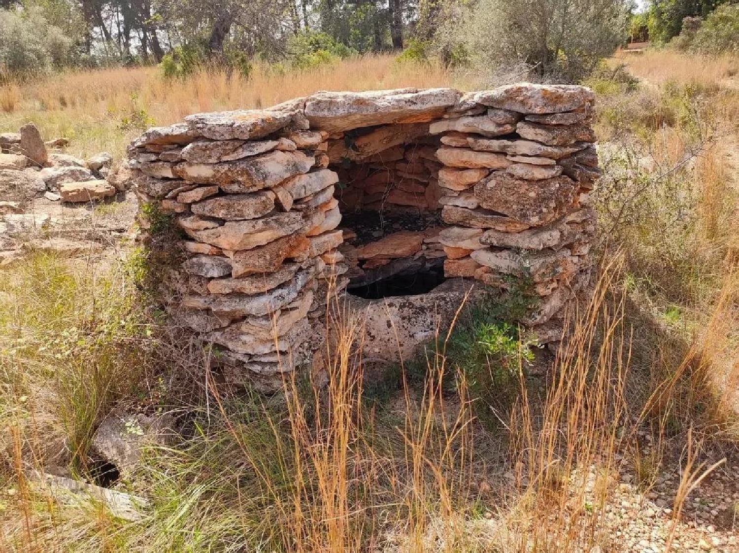  till salu tomt Vinaros Baix Maestrat 5