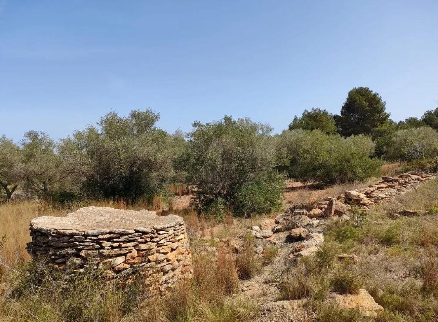 till salu tomt Vinaros Baix Maestrat 2