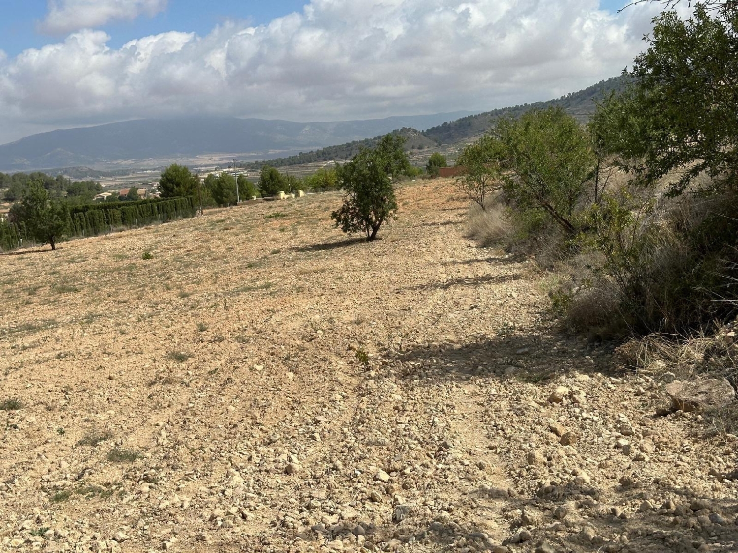  for sale plot Casas Del Señor Vinalopó Mitjà 7