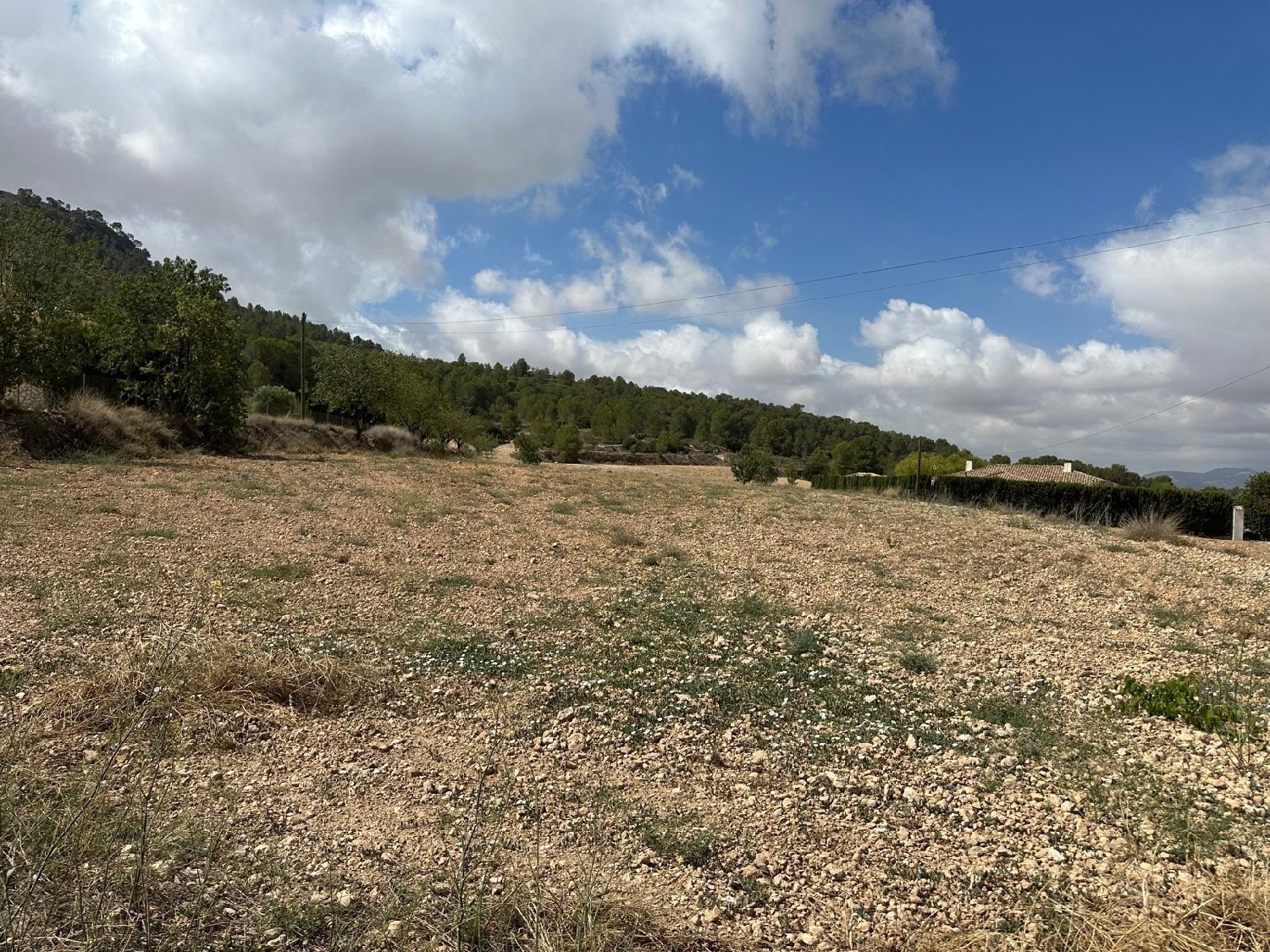 for sale plot Casas Del Señor Vinalopó Mitjà 8
