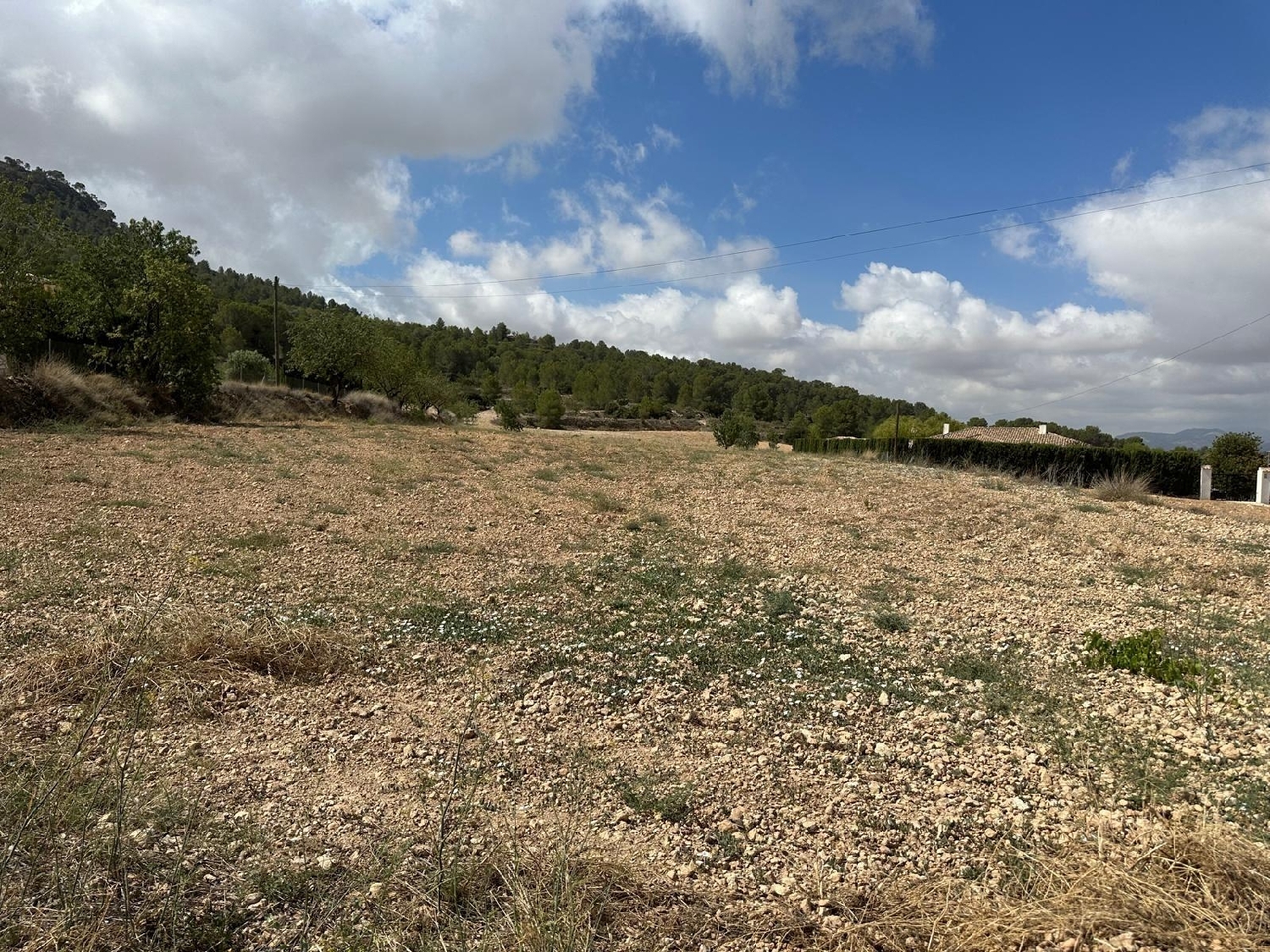  for sale plot Casas Del Señor Vinalopó Mitjà 6