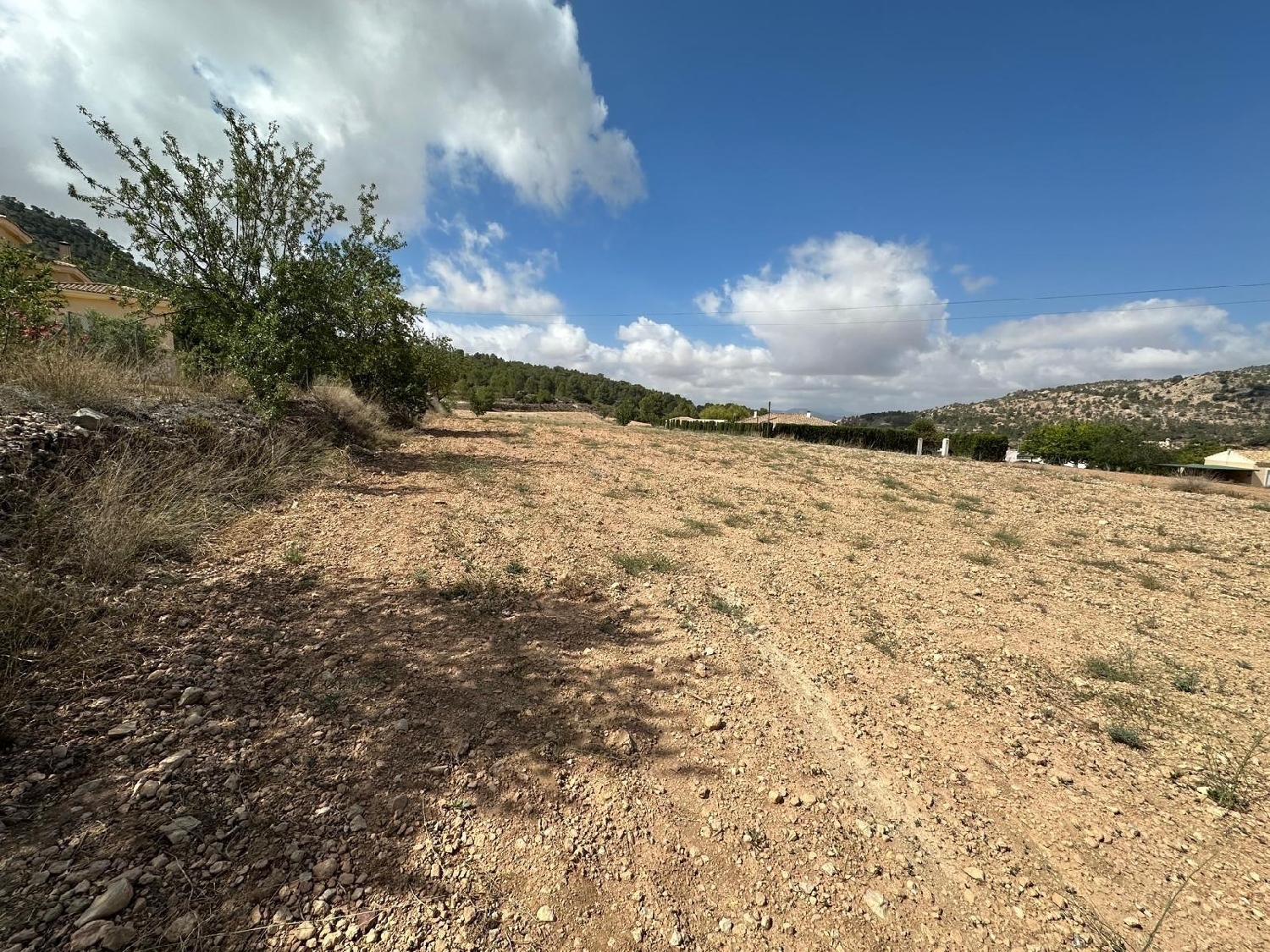  for sale plot Casas Del Señor Vinalopó Mitjà 4