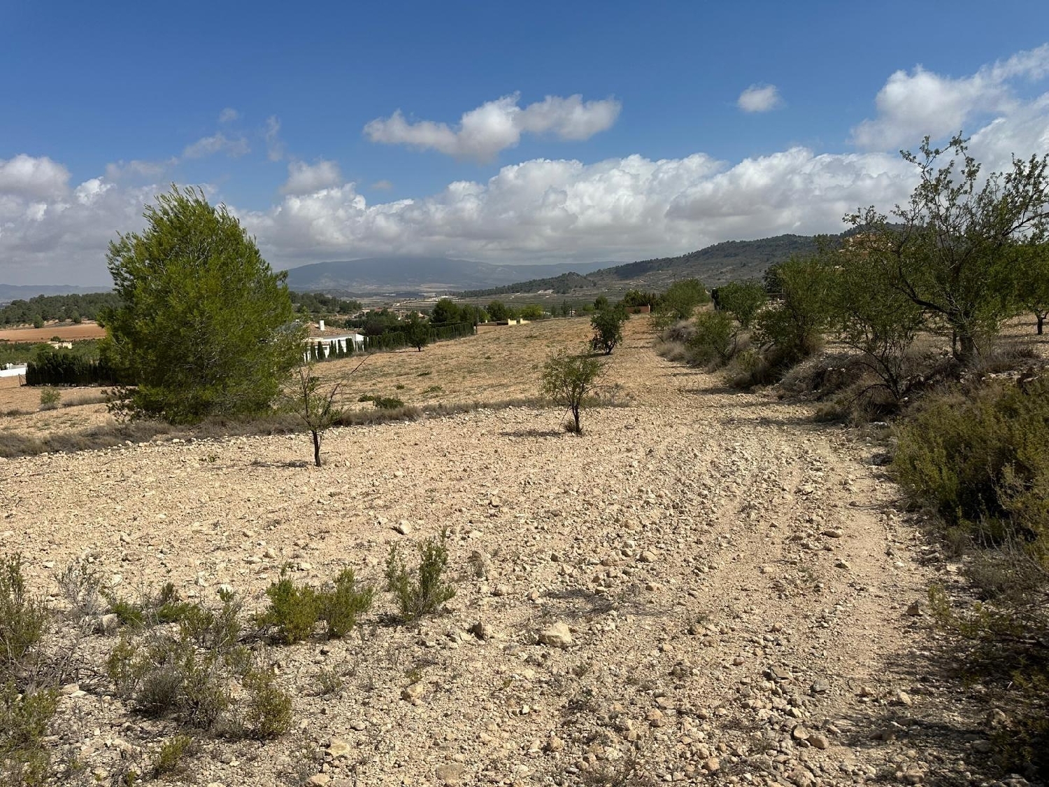  for sale plot Casas Del Señor Vinalopó Mitjà 5