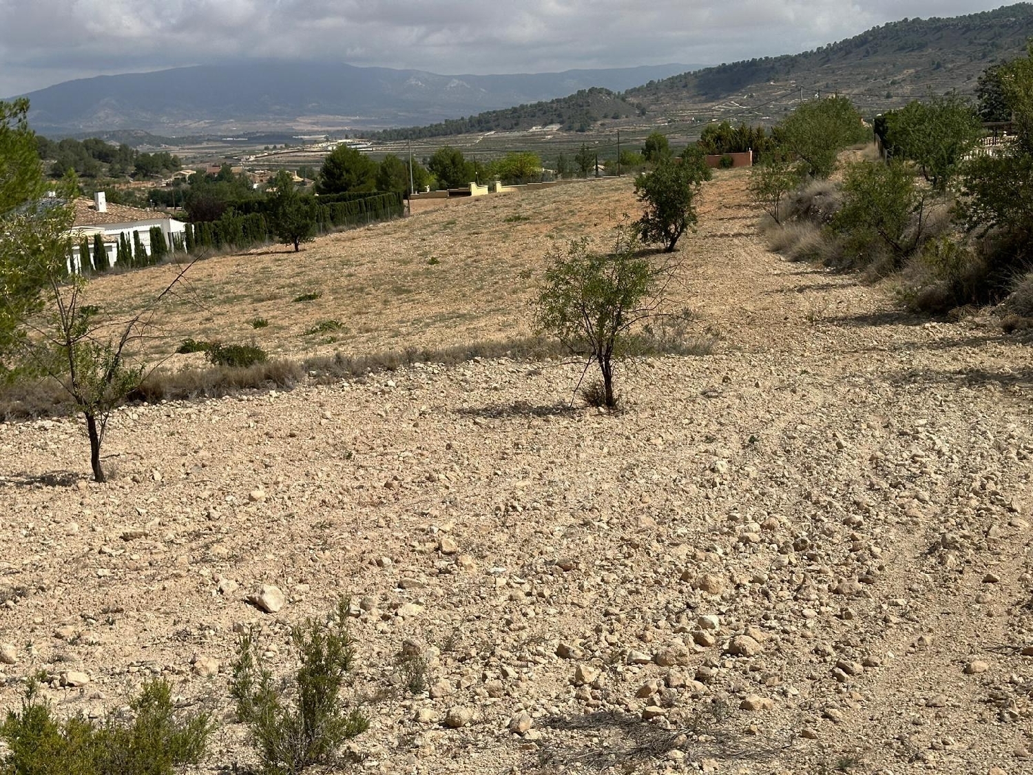  for sale plot Casas Del Señor Vinalopó Mitjà 1