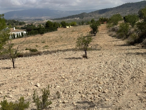 Casas Del Señor Vinalopó Mitjà plot foto 6223700