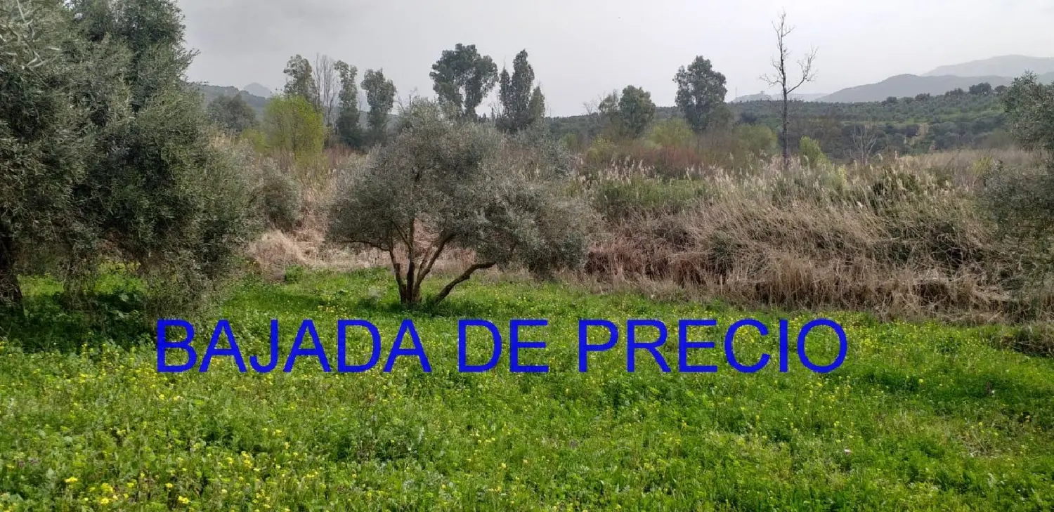 till salu tomt Zahara De La Sierra Sierra De Cádiz 1