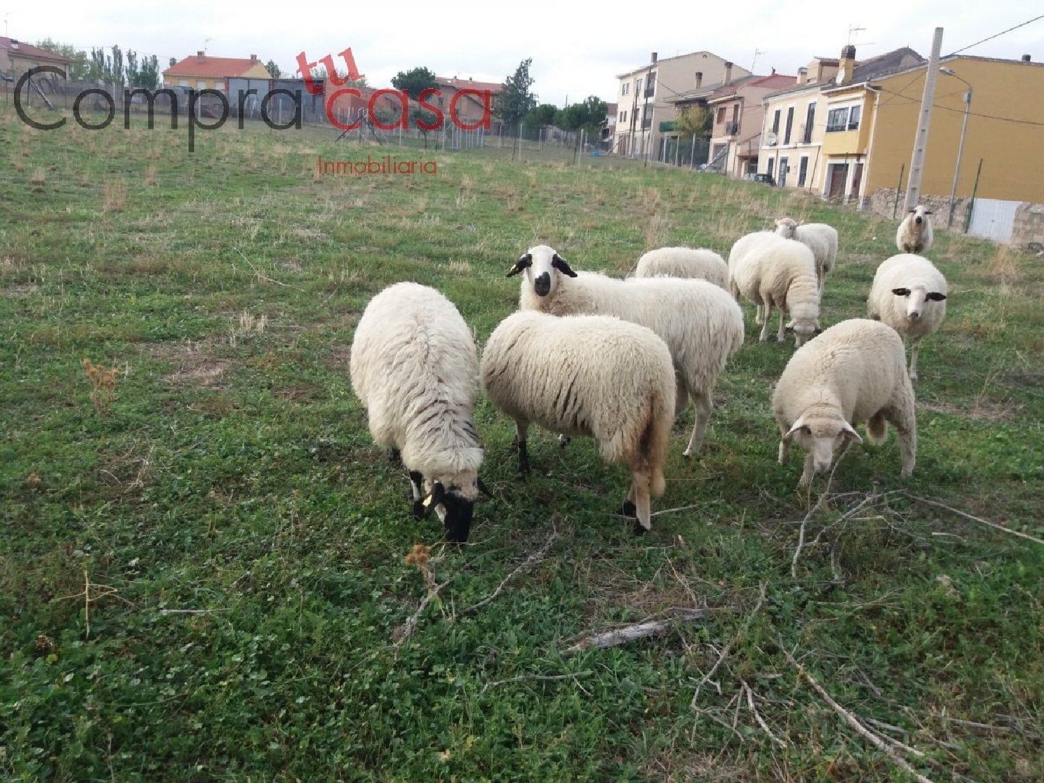  kaufen Grundstück Zarzuela Del Monte Segovia Sur 8