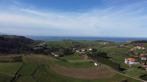 Zeluan Avilés tomt foto 6218148
