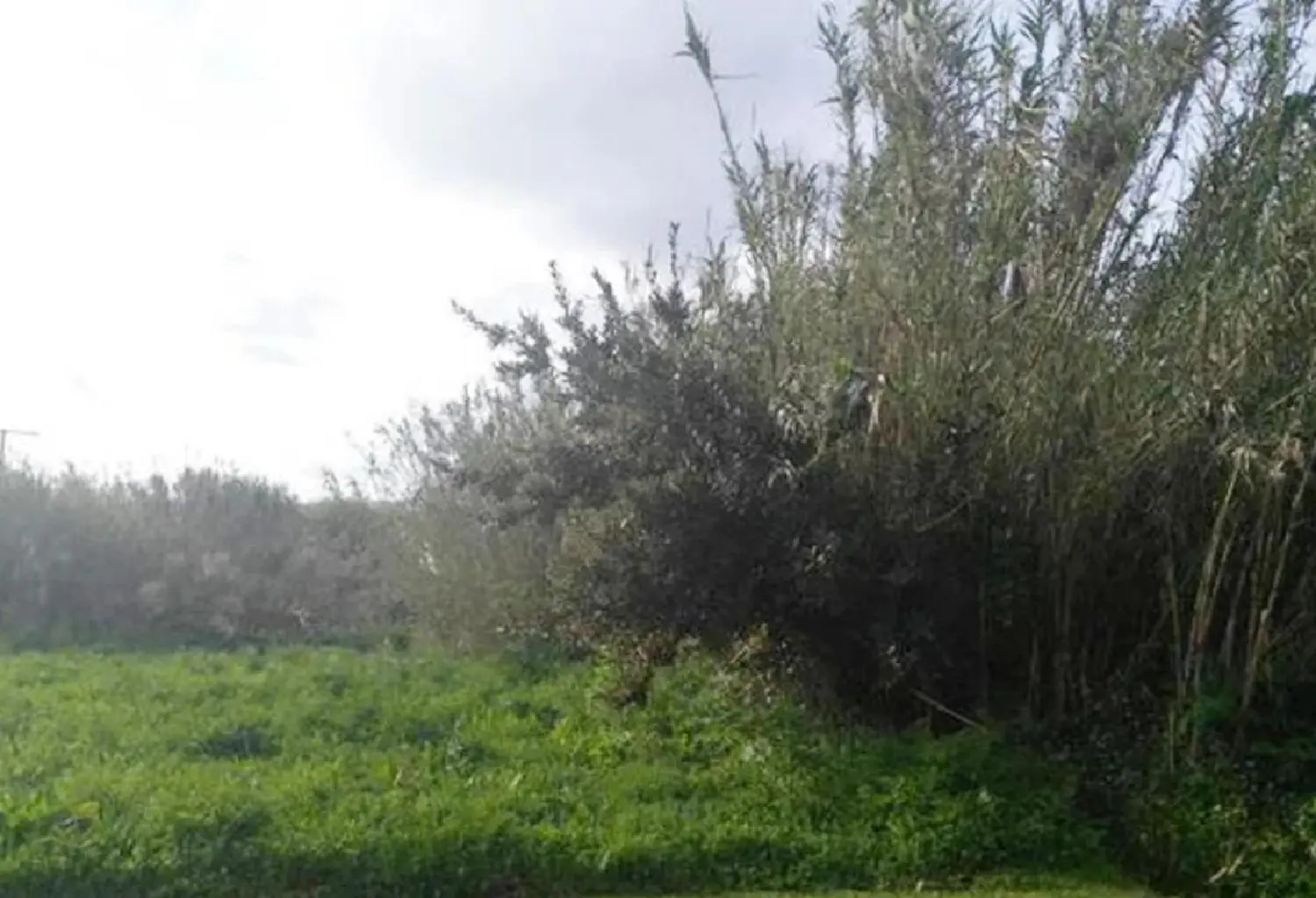  te koop perceel A Torre Salnés 1