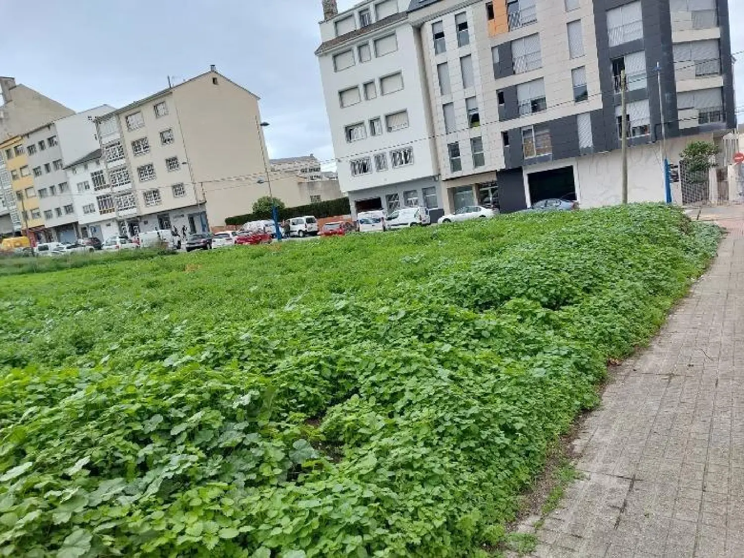  till salu lokal Bosende Lugo 4