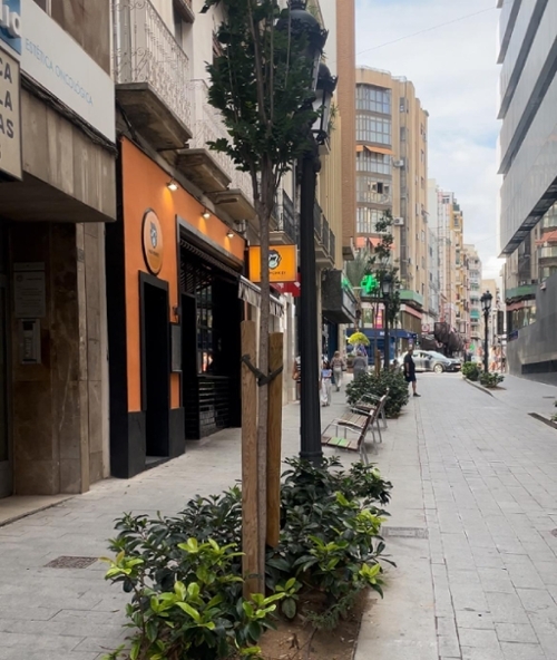Alicante Centro 03001 Alacantí lokal foto 6222056