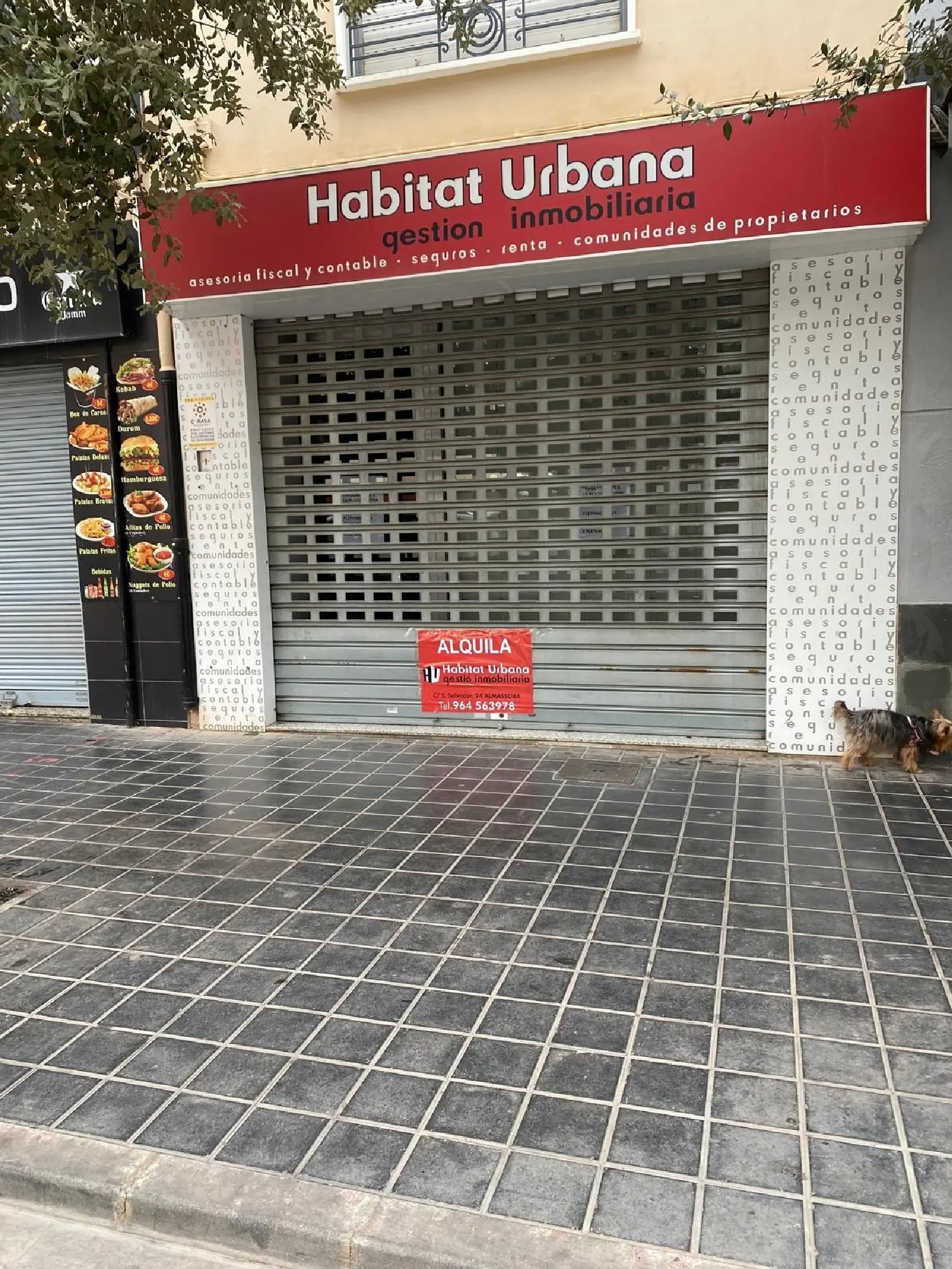 till salu lokal Pavos Plana Alta 2
