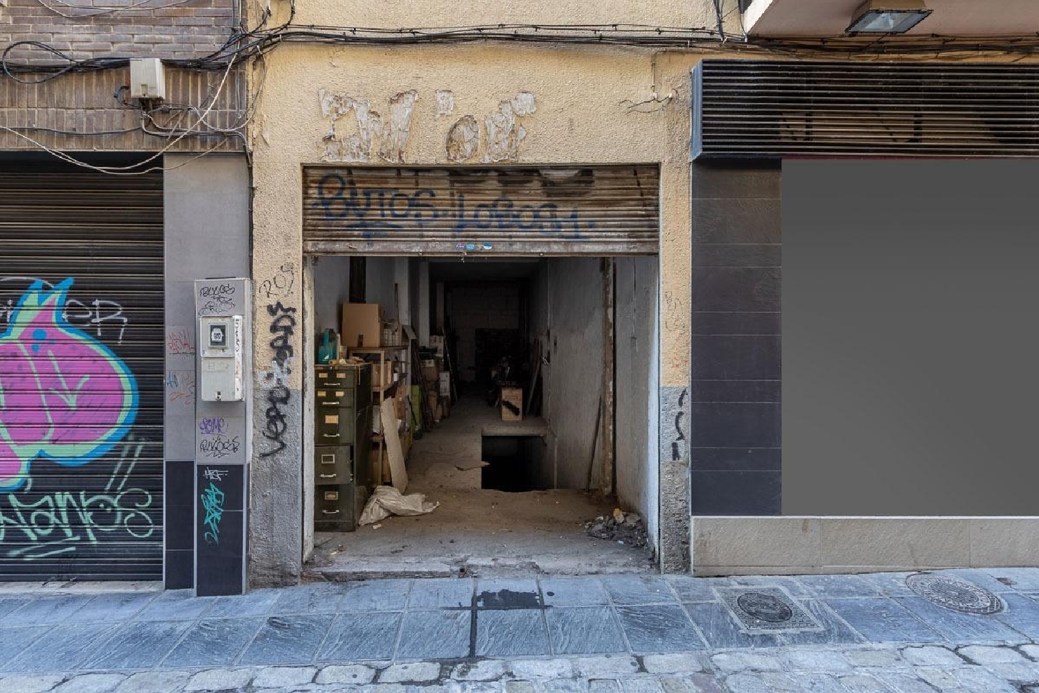 till salu lokal Alminares Vega De Granada 3