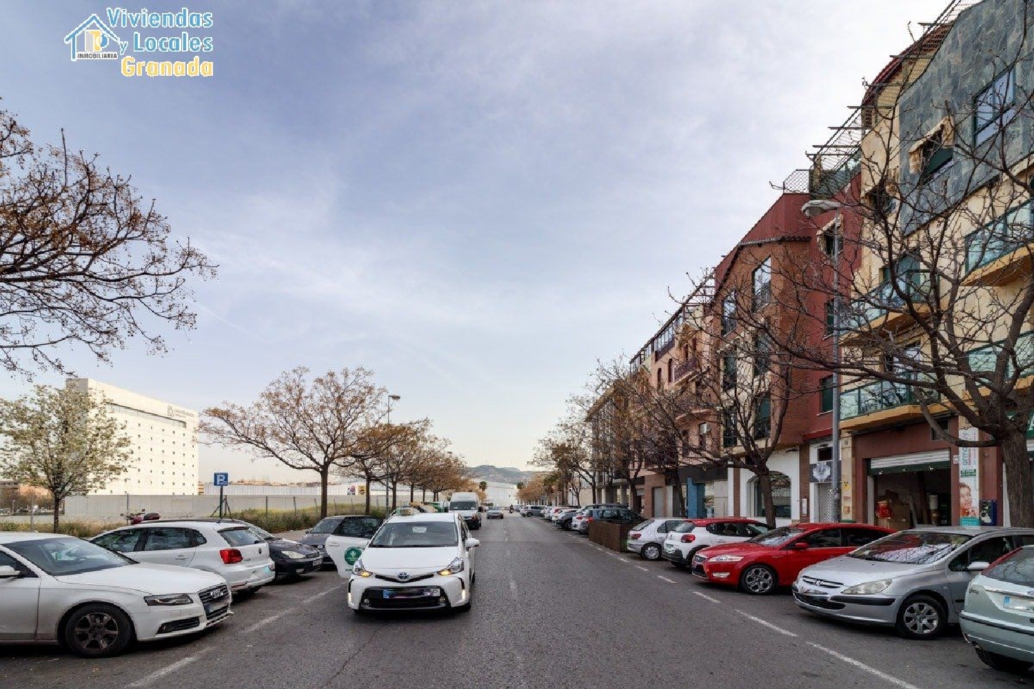 till salu lokal Alminares Vega De Granada 4