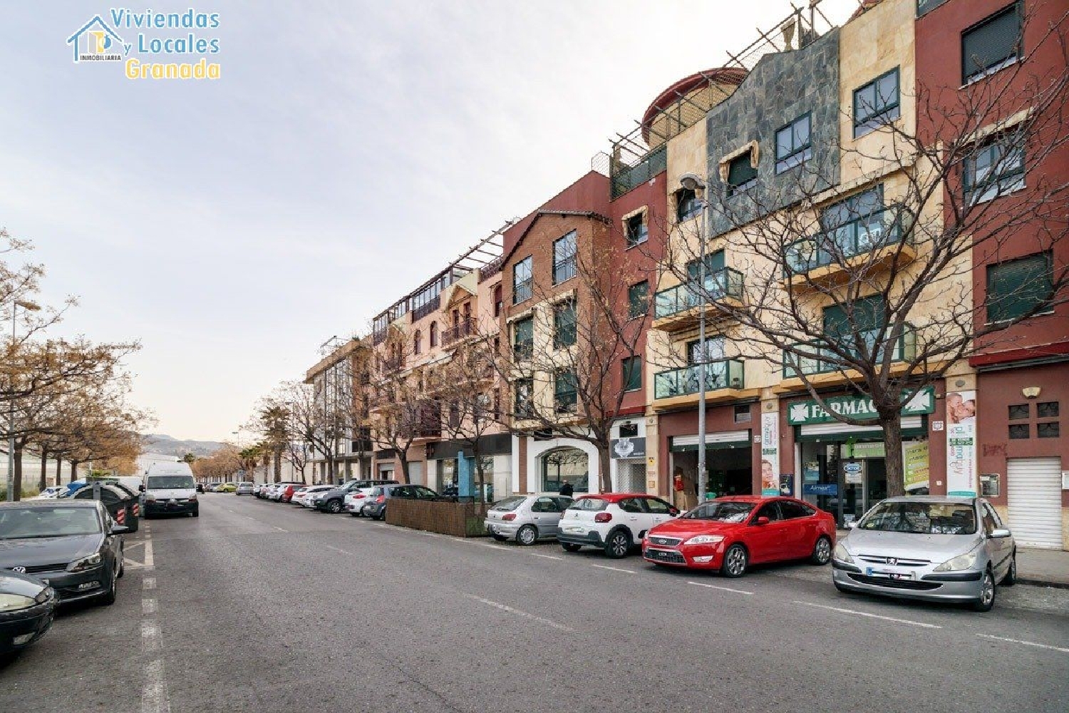 till salu lokal Alminares Vega De Granada 3