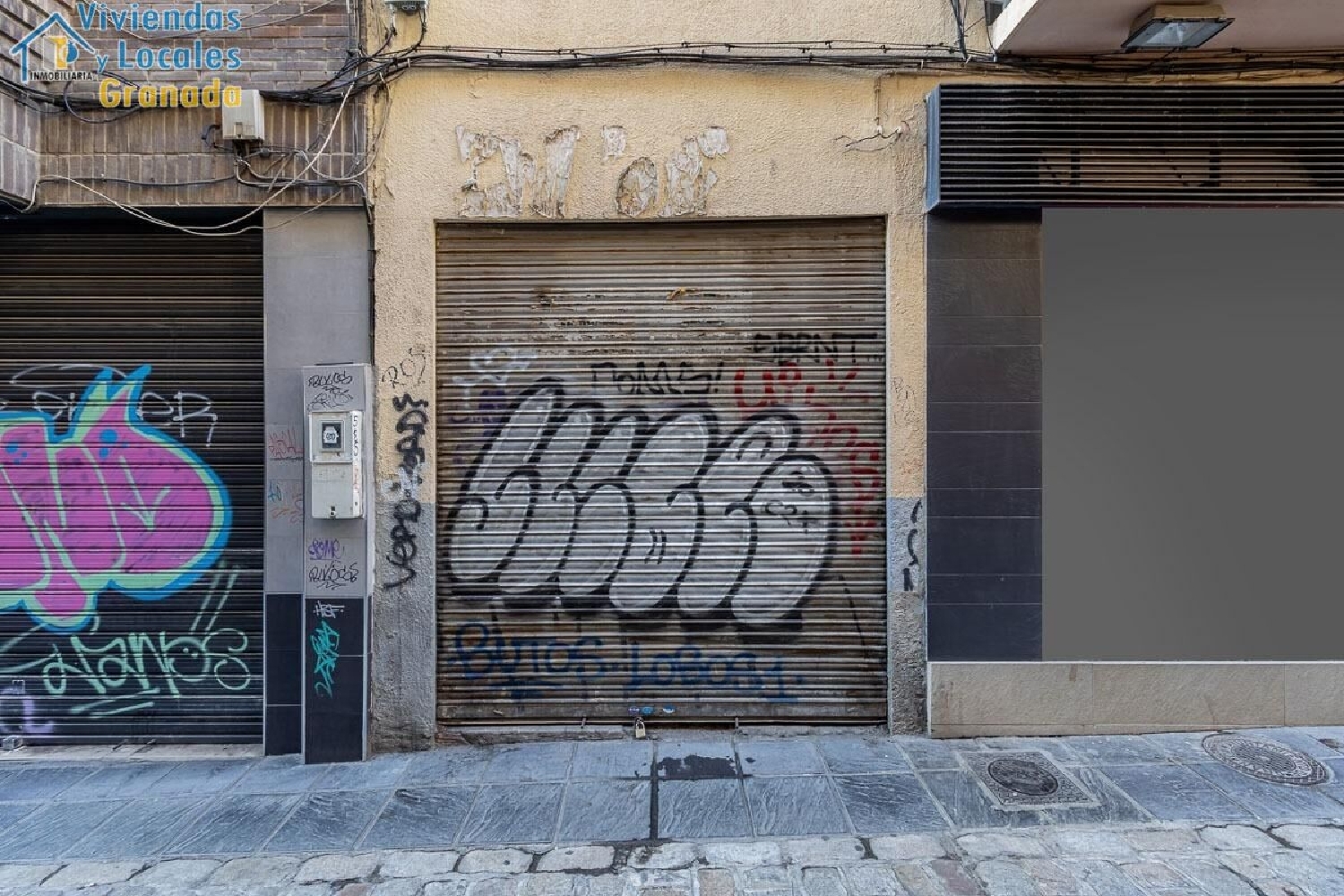 till salu lokal Alminares Vega De Granada 3