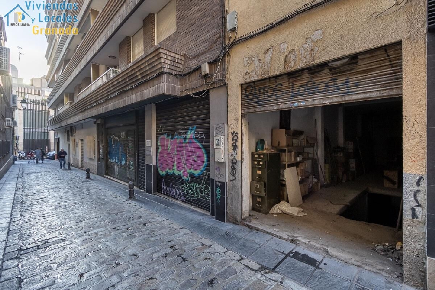till salu lokal Alminares Vega De Granada 2