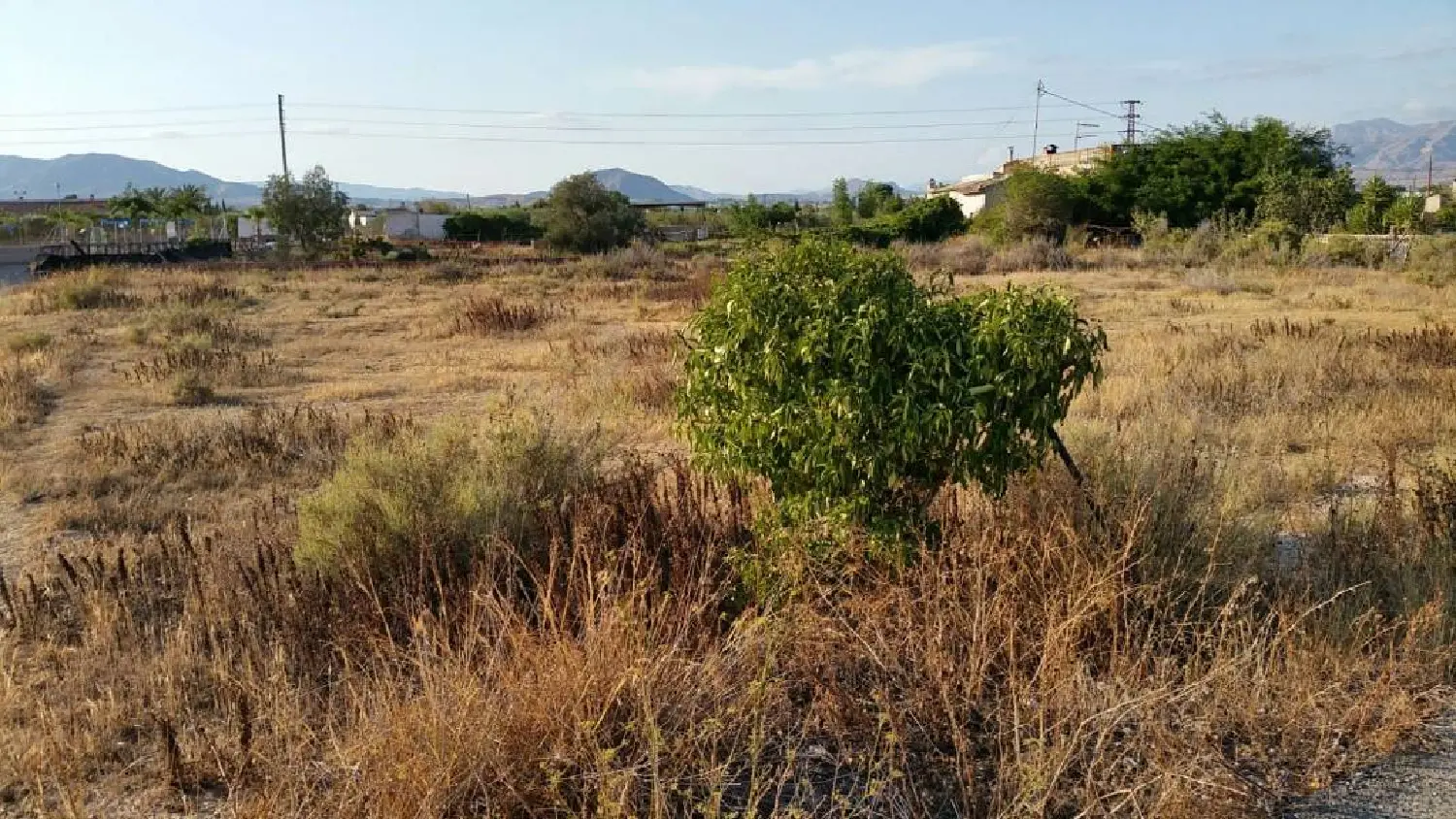 till salu lokal Aspe Vinalopó Mitjà 2