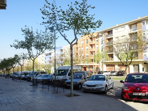 Aspe Vinalopó Mitjà lokal foto 6227030