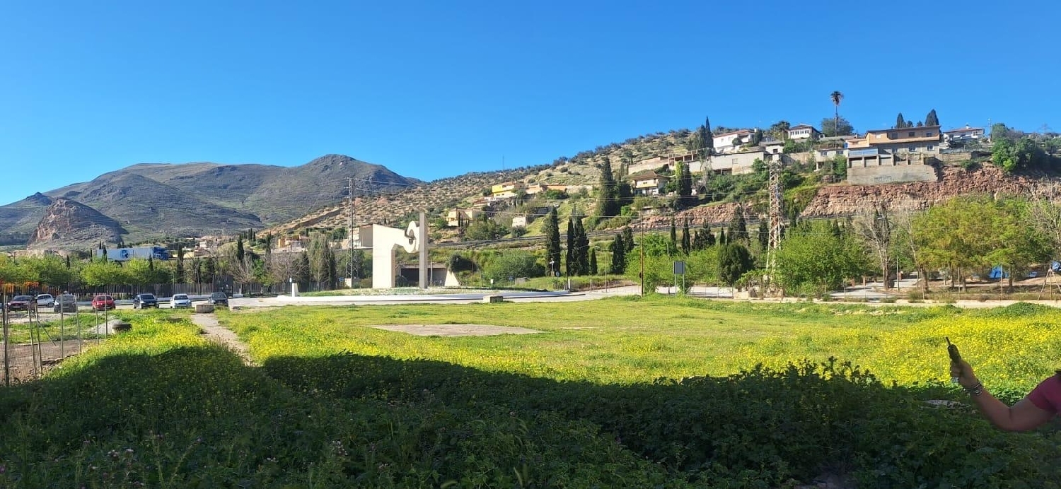  for sale commercial premise Atarfe Vega De Granada 4