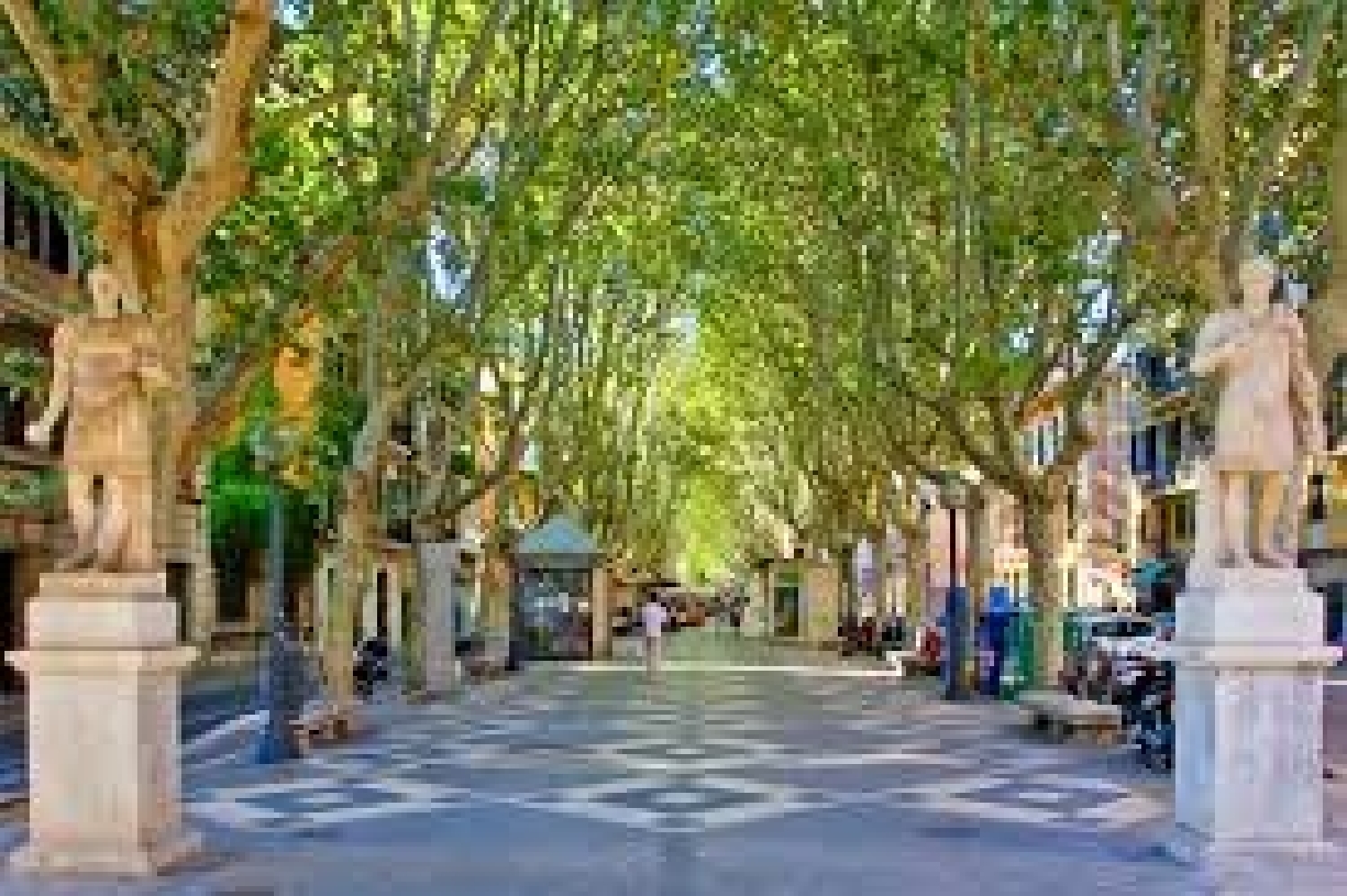  till salu lokal Avenidas Palma 1