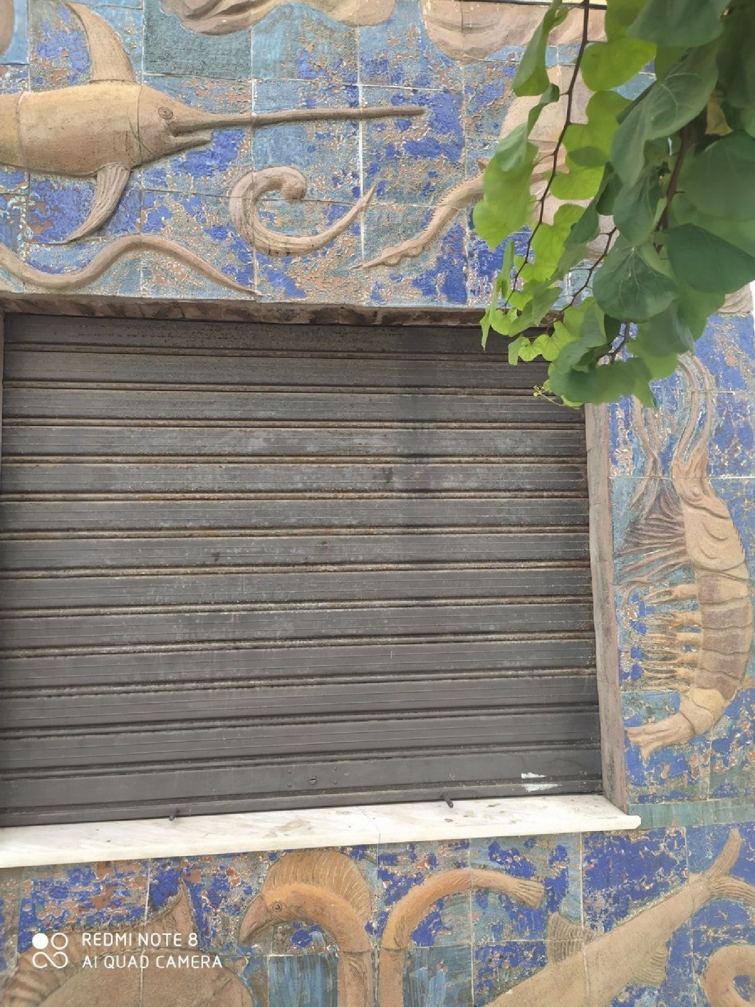  till salu lokal Barbate Janda (La) 1