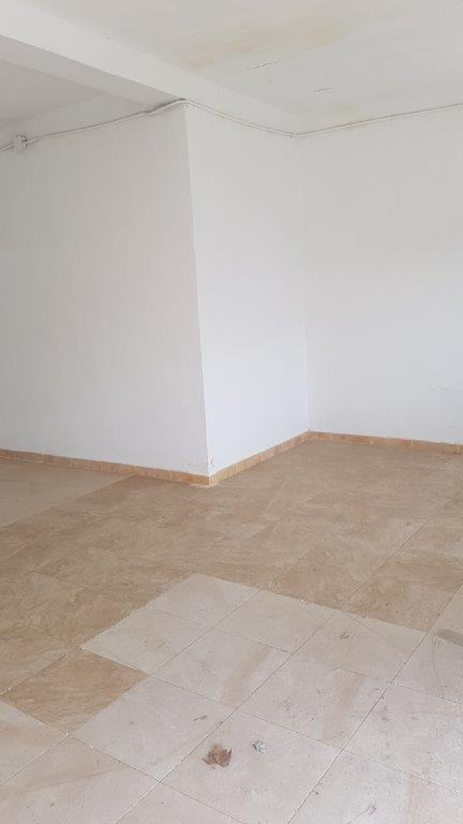  till salu lokal Barrio De La Concepción Campo De Cartagena 6