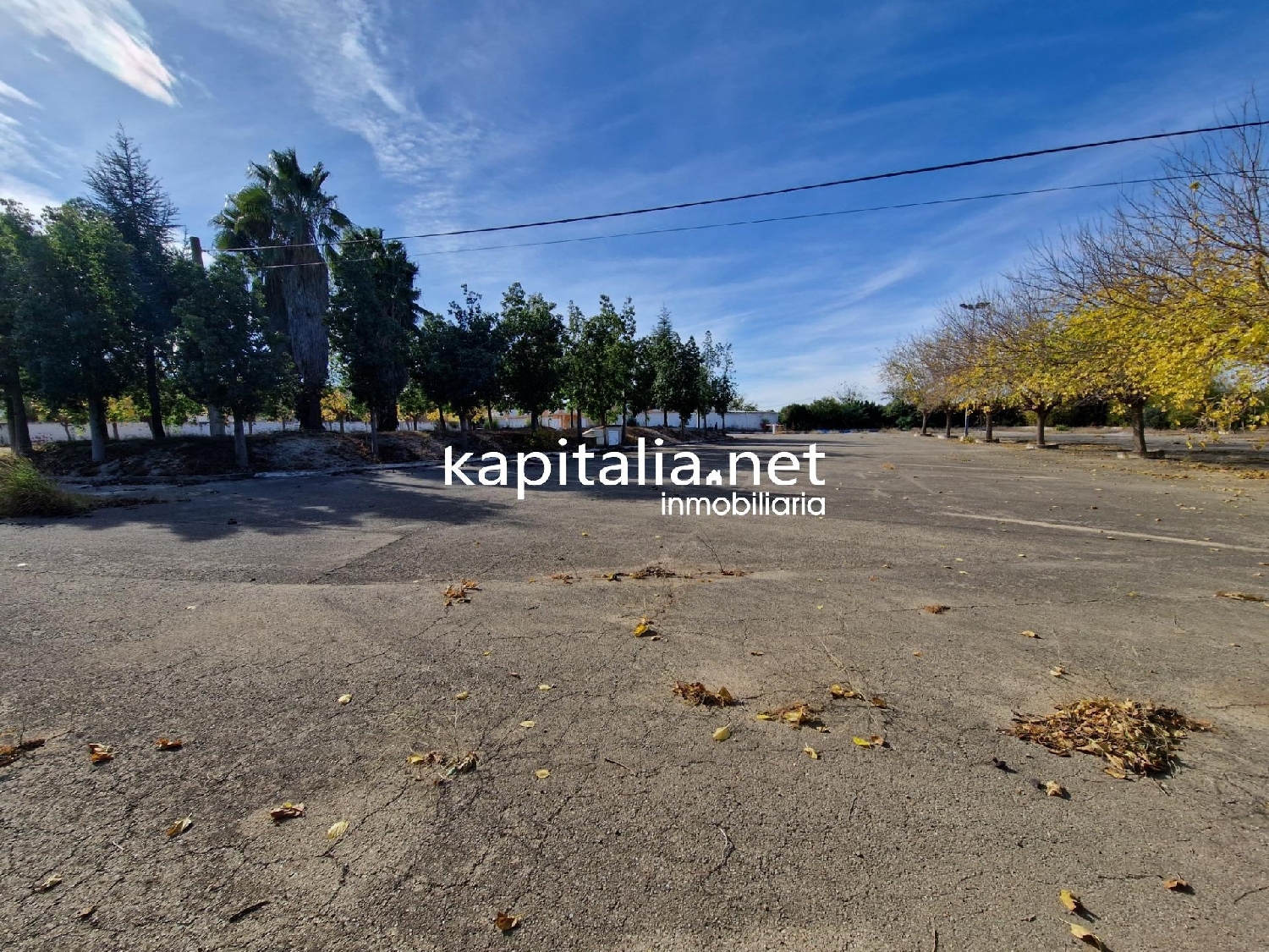  till salu lokal Bufali Vall D'albaida 7