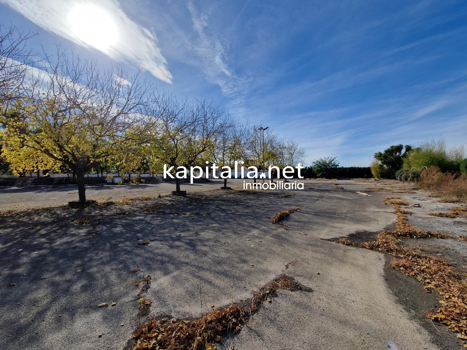  till salu lokal Bufali Vall D'albaida 6
