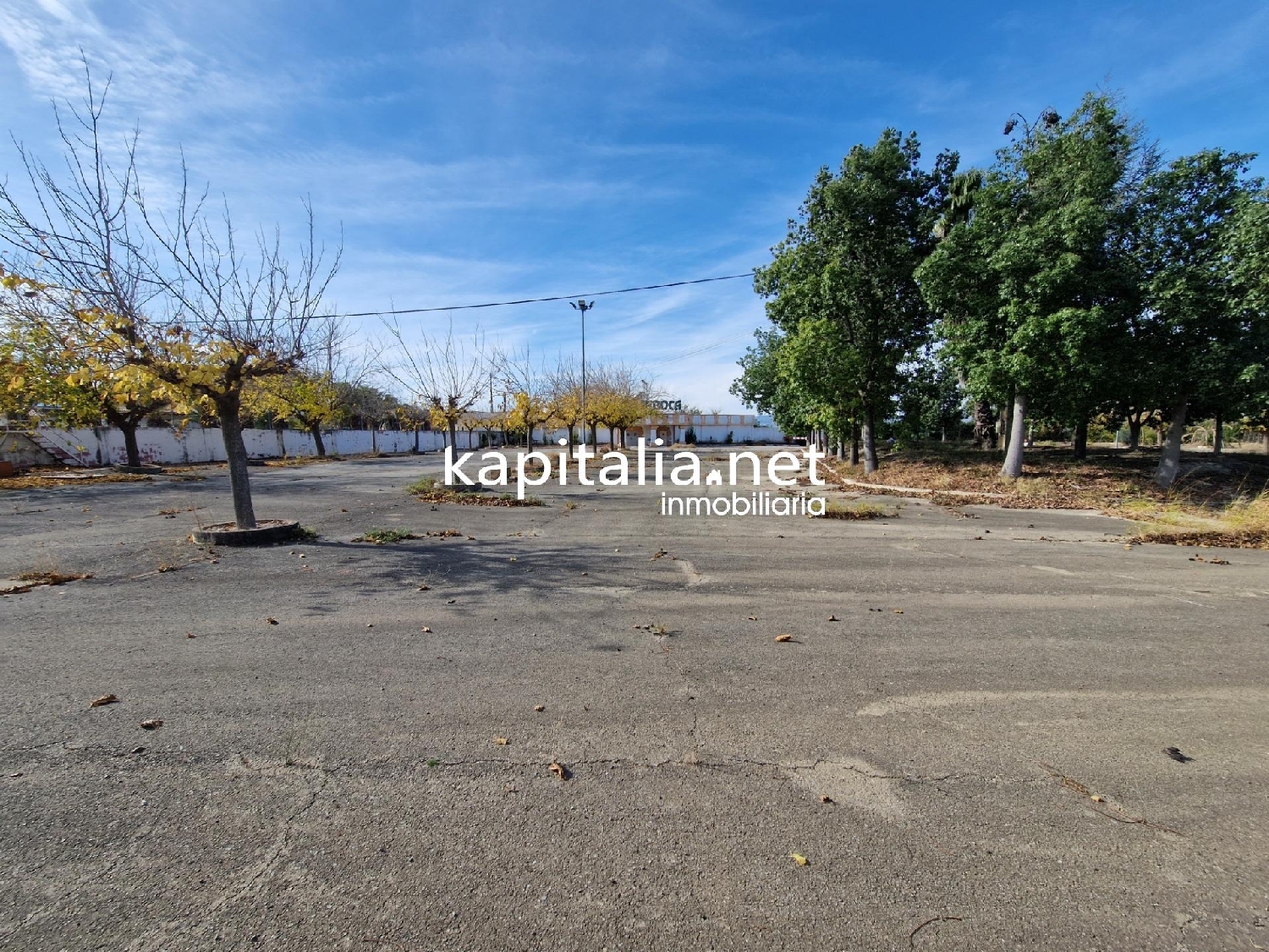  till salu lokal Bufali Vall D'albaida 8
