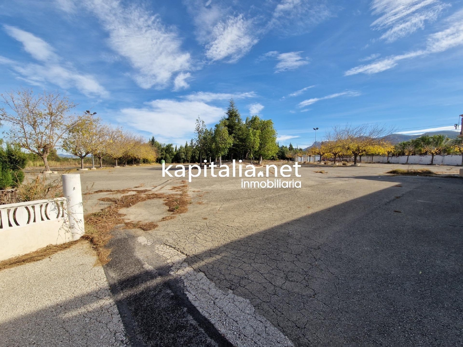 till salu lokal Bufali Vall D'albaida 3