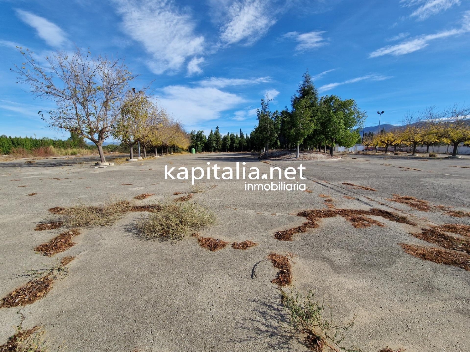  till salu lokal Bufali Vall D'albaida 4
