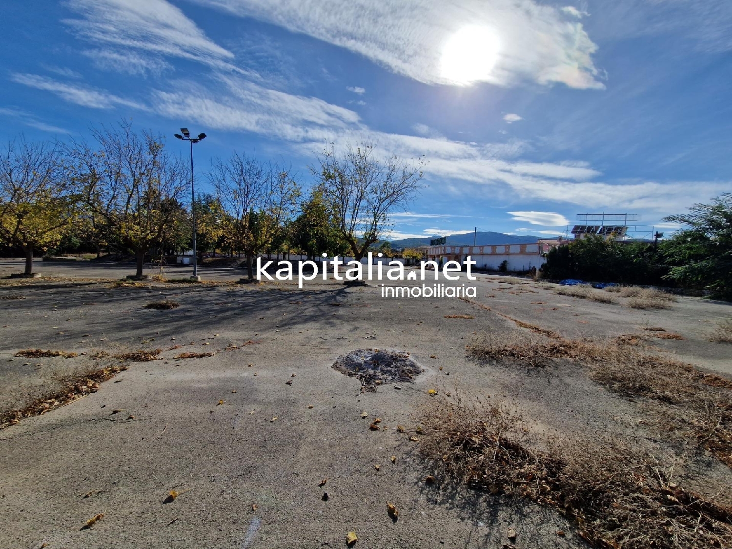  till salu lokal Bufali Vall D'albaida 5