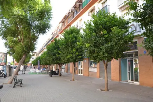 Camas Metropolitana De Sevilla lokal foto 6193158