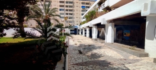 Campillo Del Moro Poniente Almeriense commercial premise foto 6265154